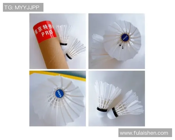 南京羽毛球队战术创新引领羽毛球新潮流排名跃升至新高峰 南京羽毛球队战术创新引领羽毛球新潮流排名跃升至新高峰