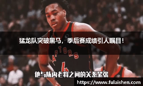 球信网