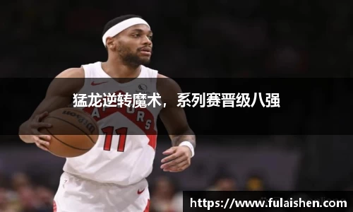 球信网平台