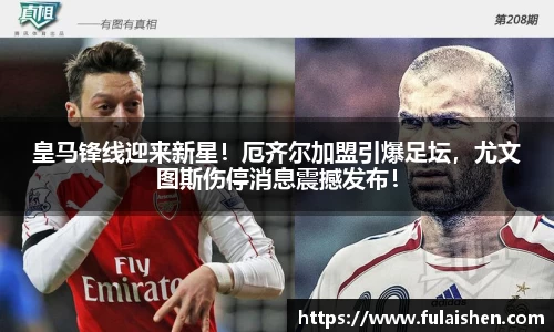 球信网网址
