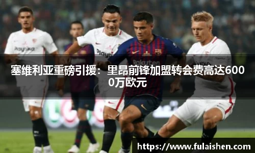 球信网