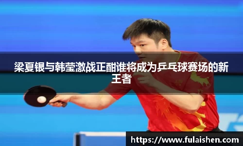 球信网