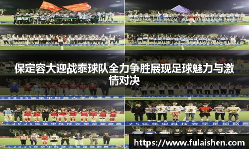 球信网