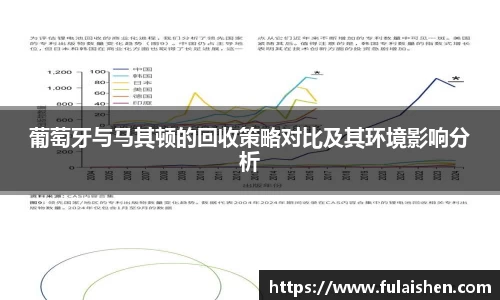 球信网