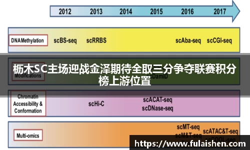 球信网平台
