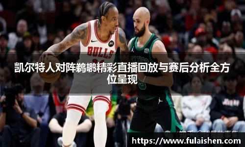 球信网
