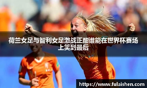 球信网