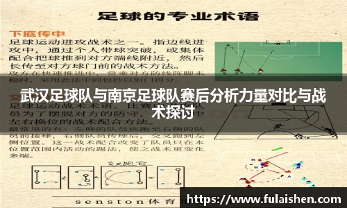 球信网平台