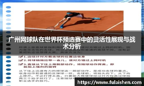 球信网